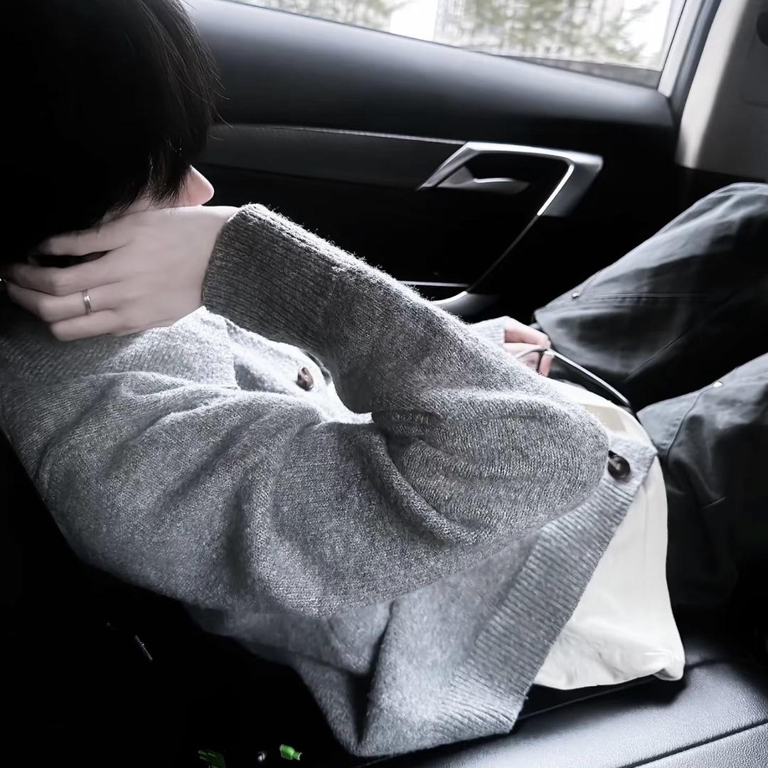 苏想干嘛就干嘛