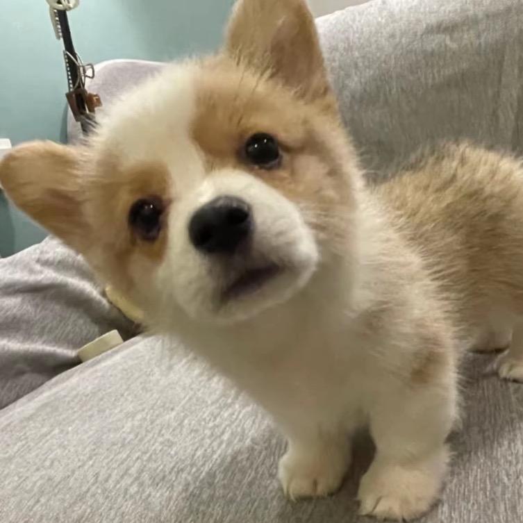 儿子是0女儿是t，老公4i我是小三