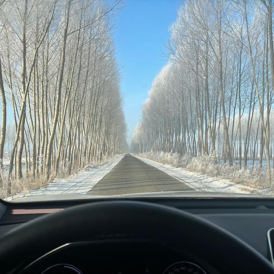 黑与白
