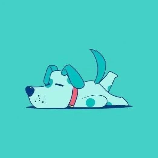 明港镇 圣宠宠物店