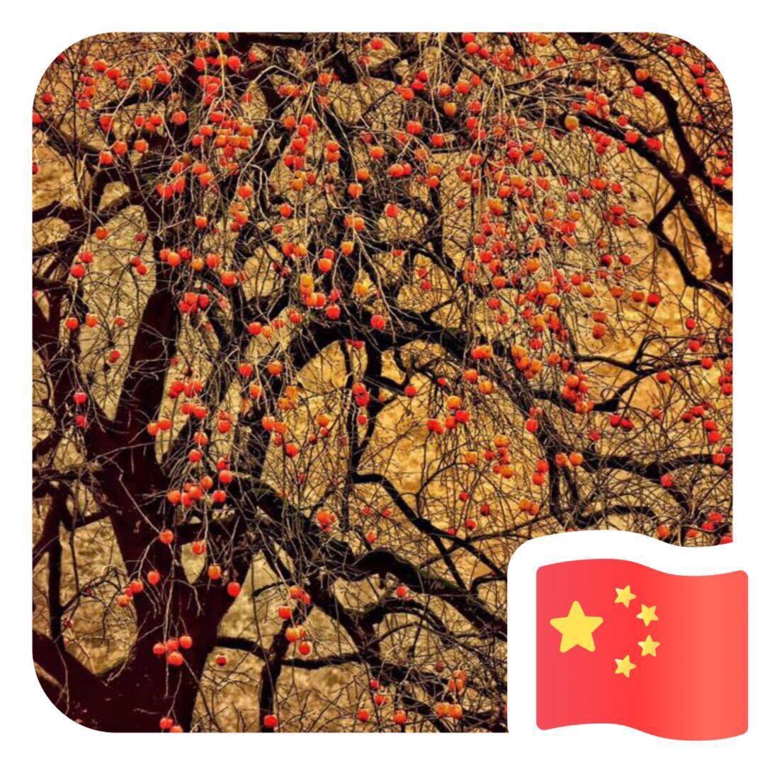 郭全红