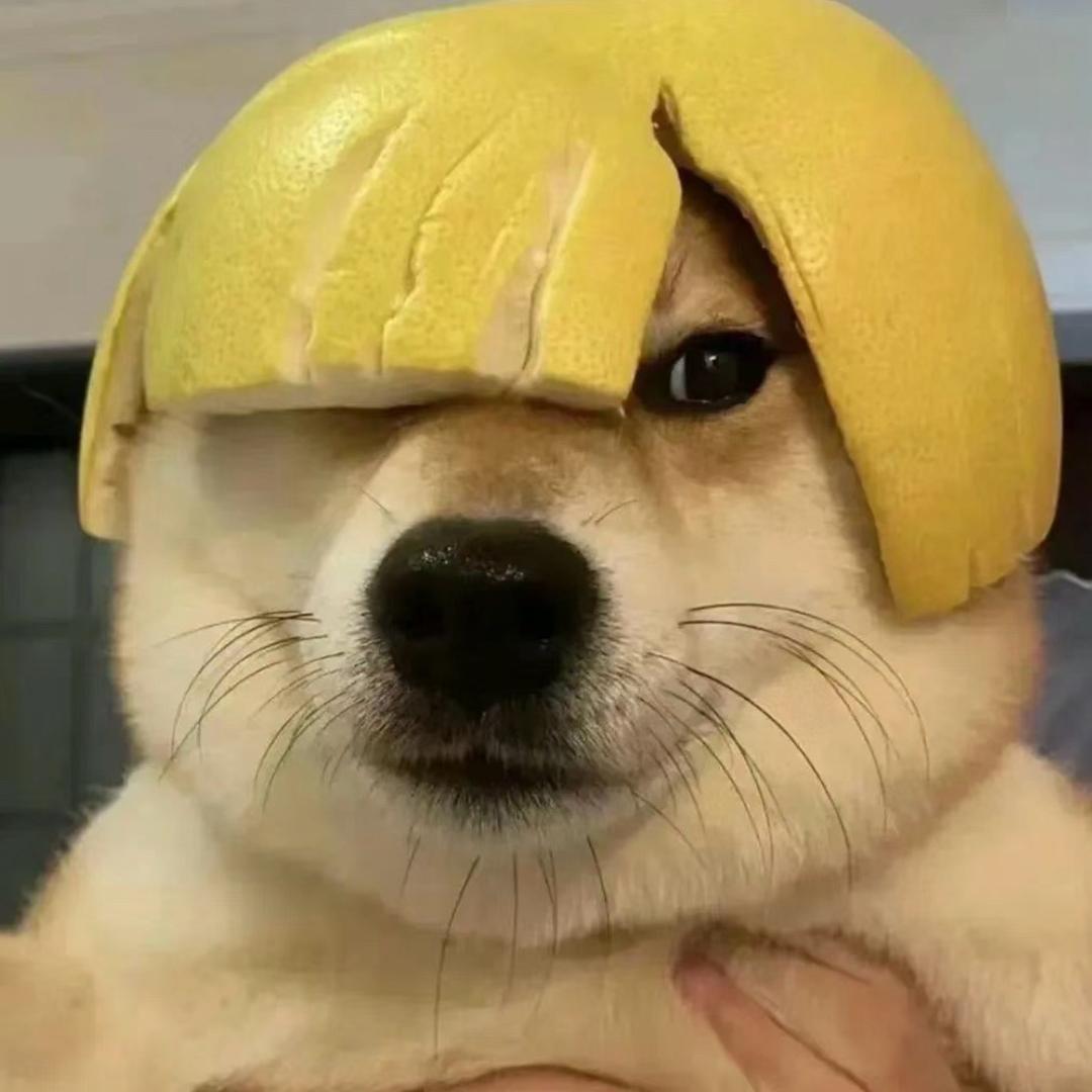 64579275782