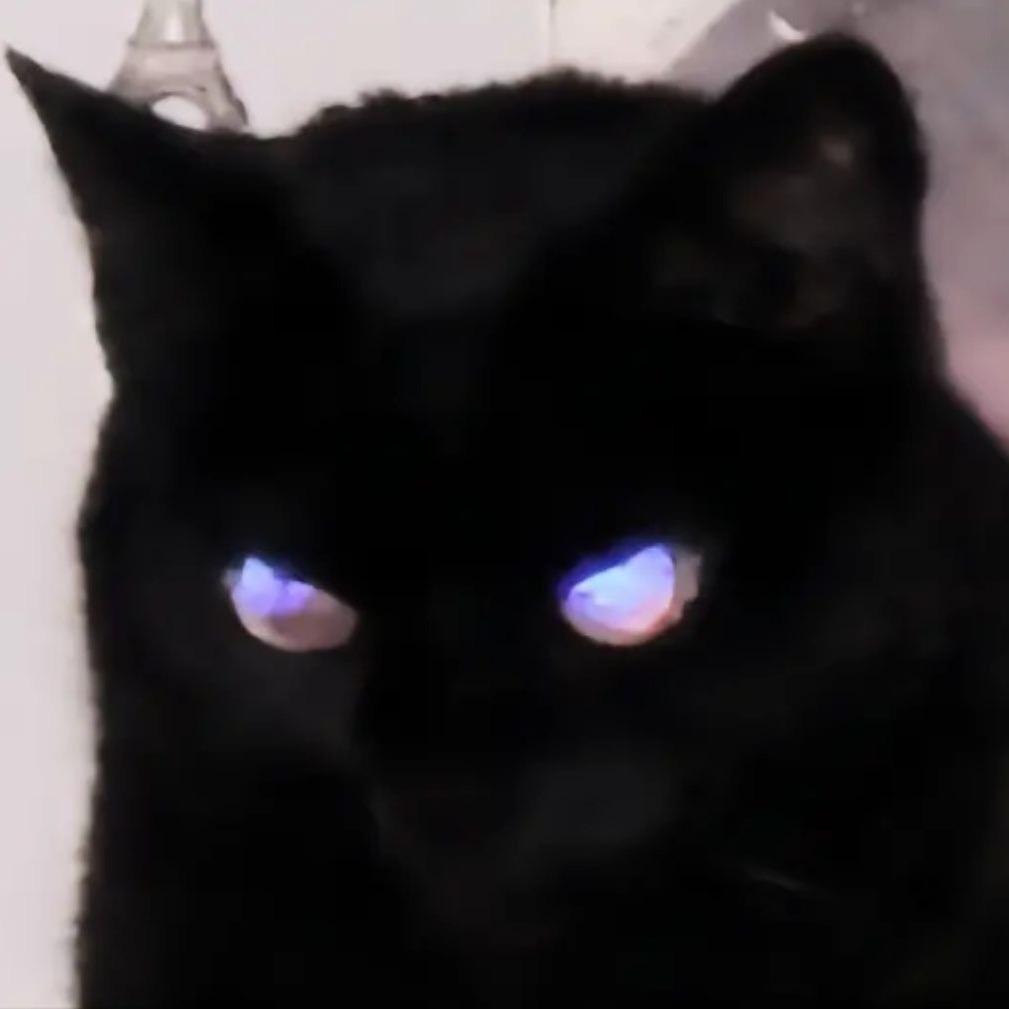伊伊子