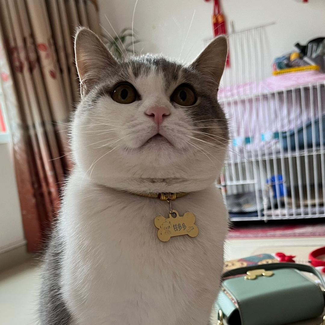 小龙女✨