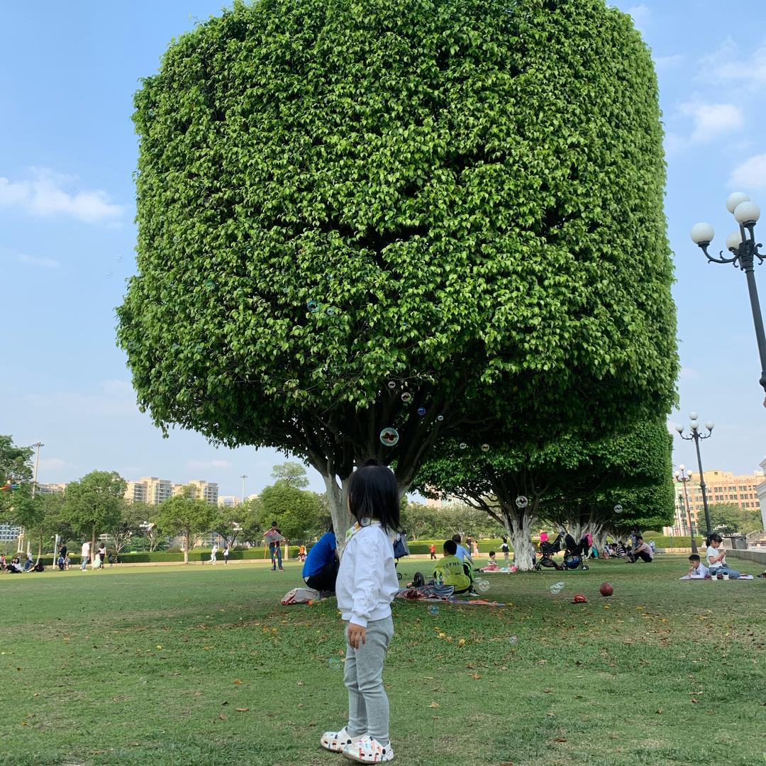 垫底娃娃
