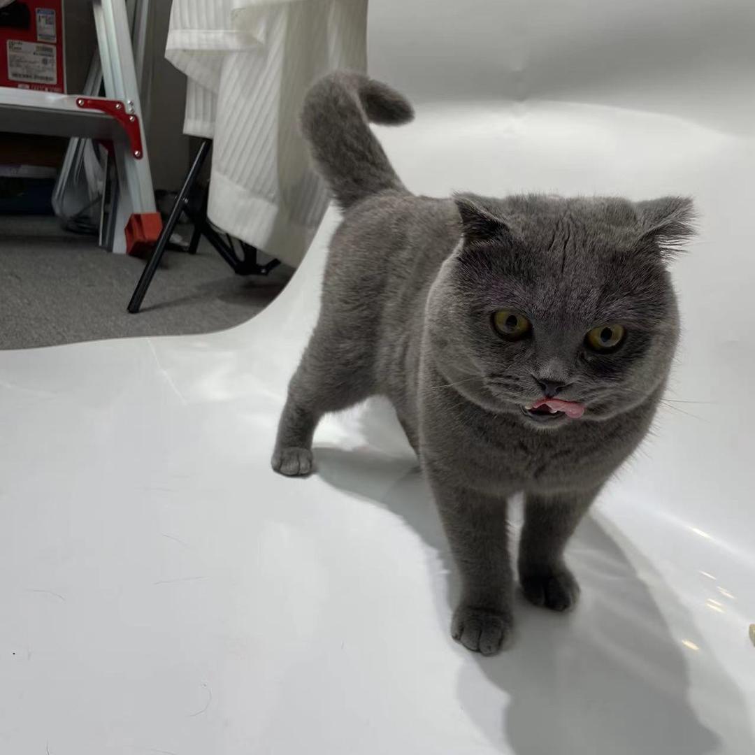 义乌市思劢电子商务商行