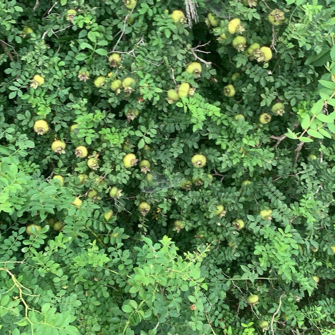 飚车好物
