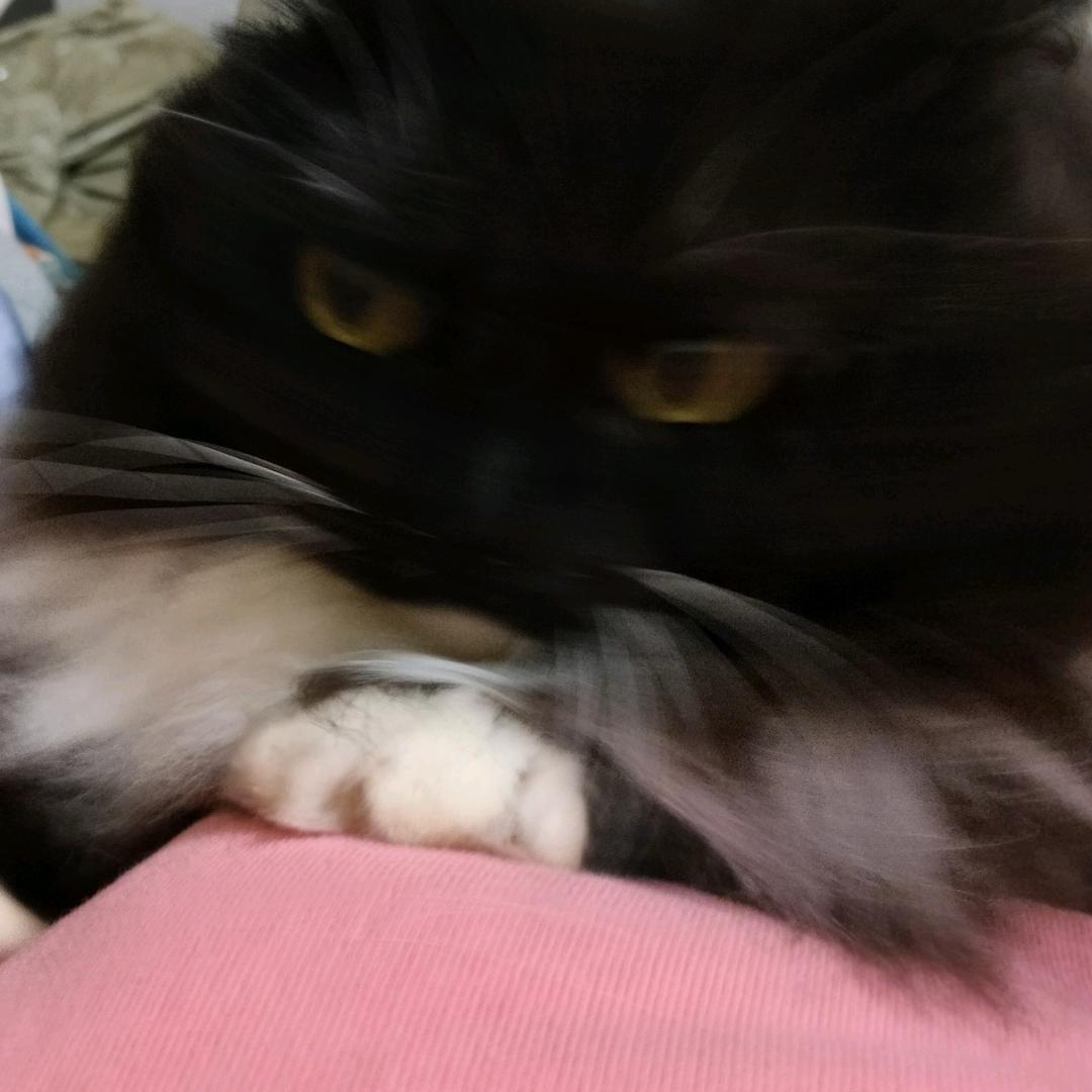 胡椒粉