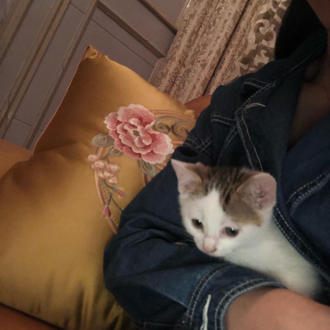 小白啊