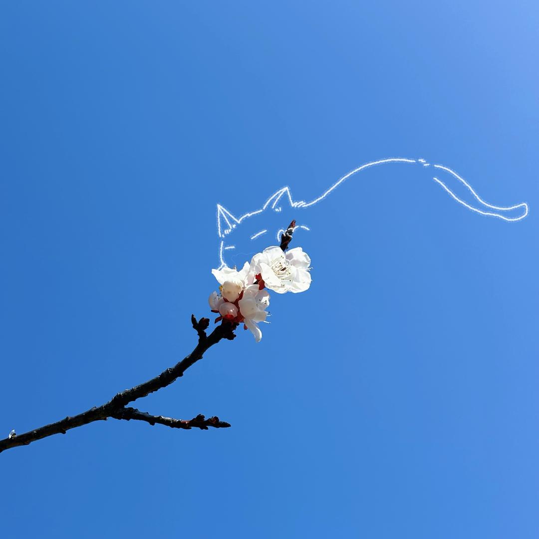 惊魂未定的陆晴头像