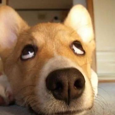 黄二狗（钞能力圆梦）@抖音