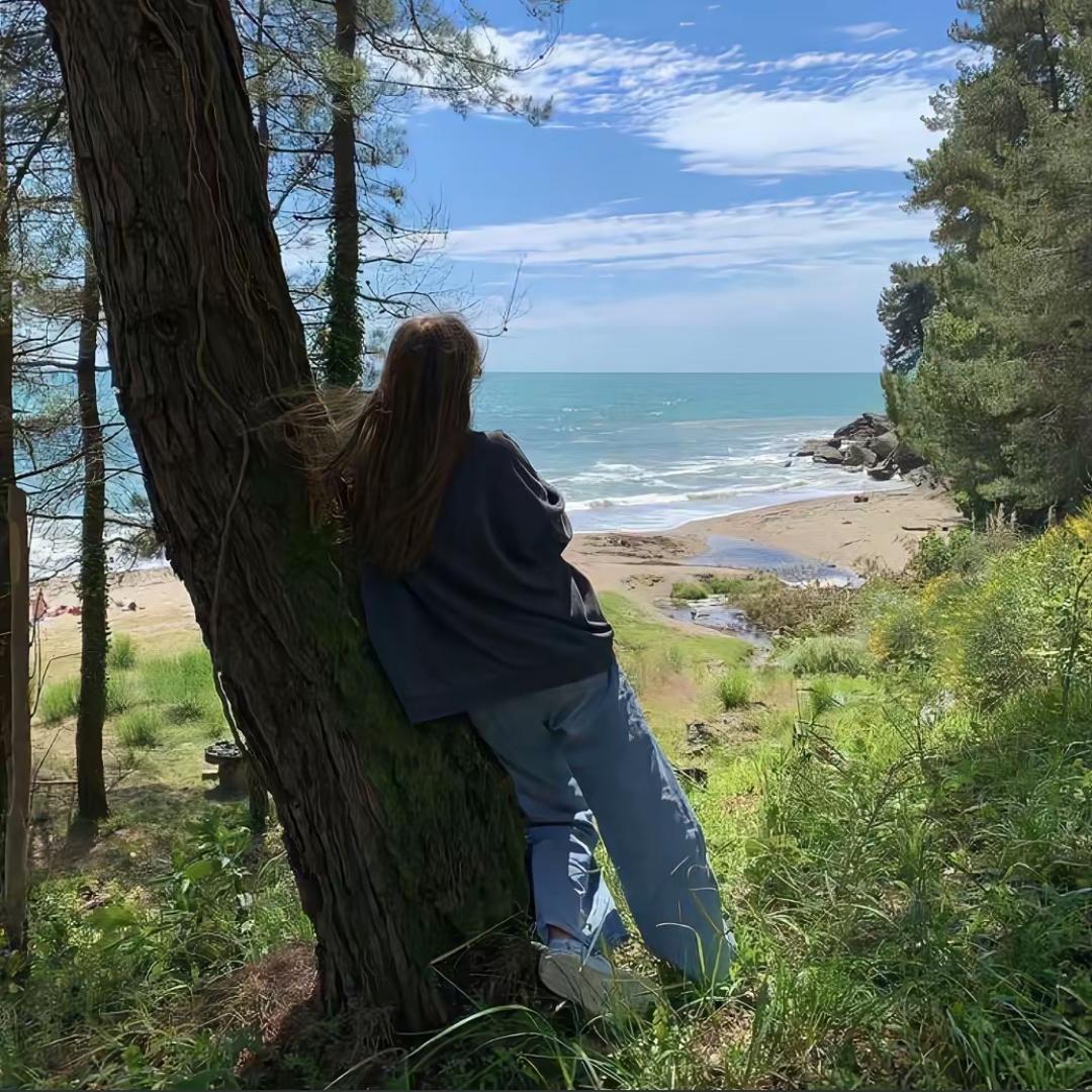 纯白海湾