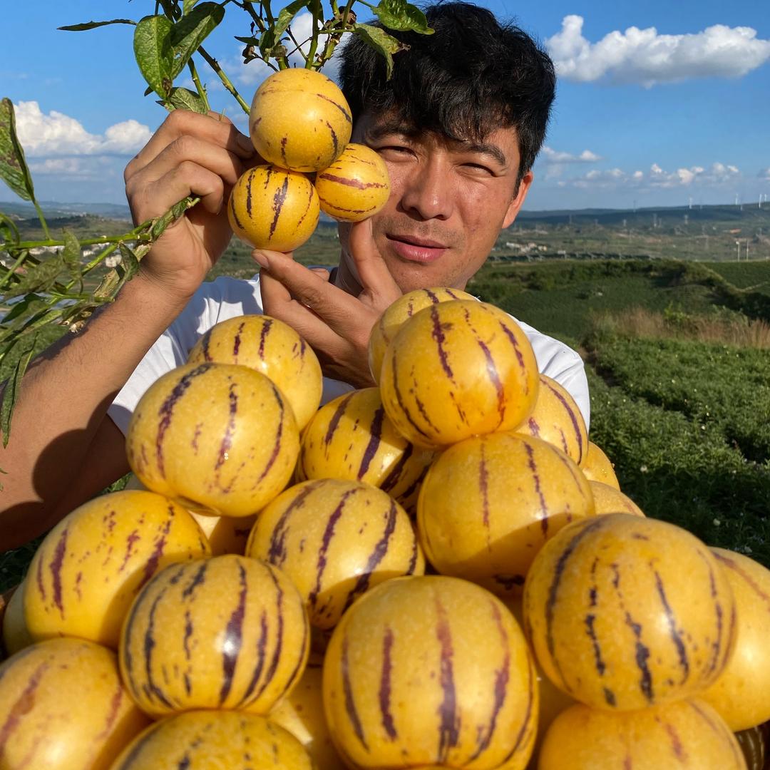 人参果农场