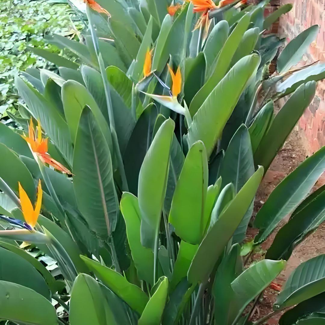上上签࿐ᩚ 幸໊ཀྃ运ོ࿐