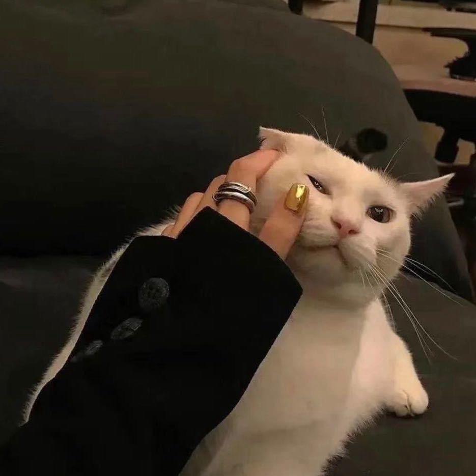行了行了