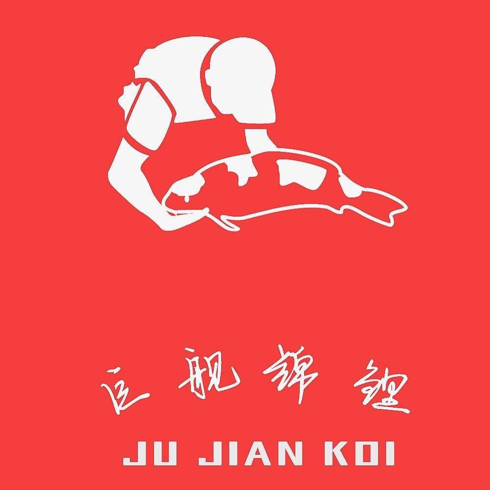 巨舰锦鲤