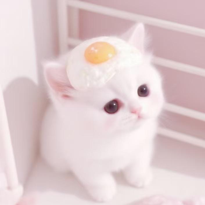 🌈蛋糕