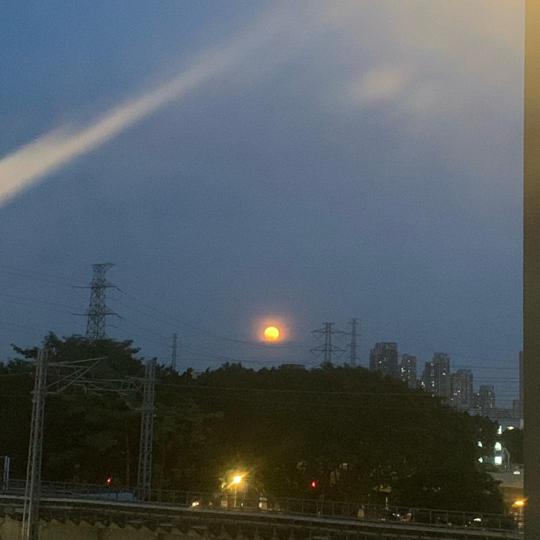大郑小坚