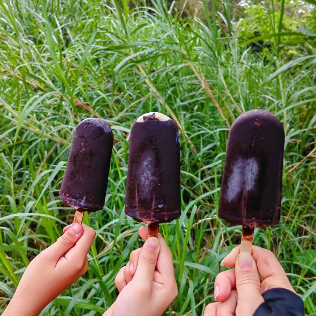 芭蕉姐一好物分享