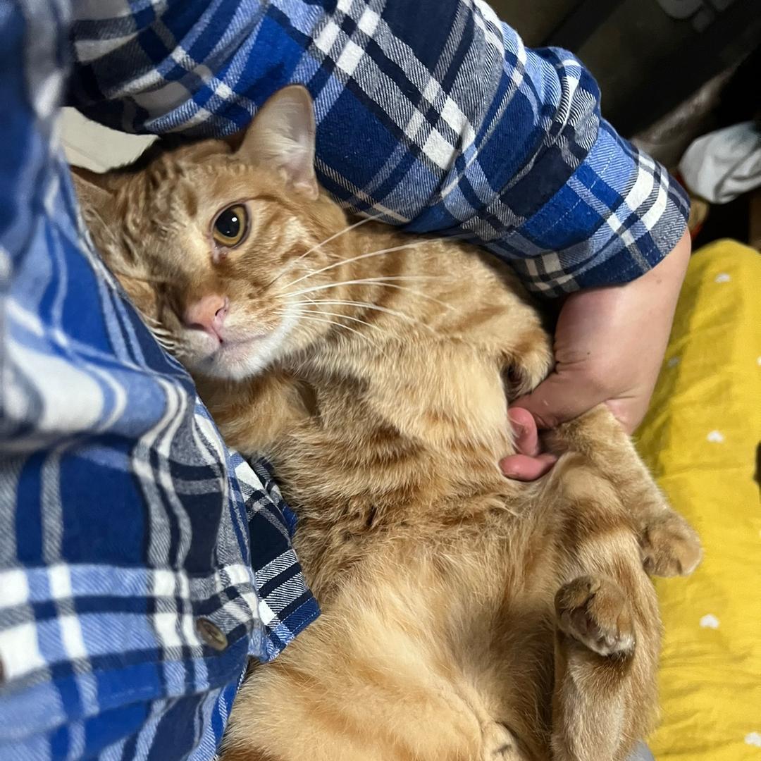 一切献给乐子王！