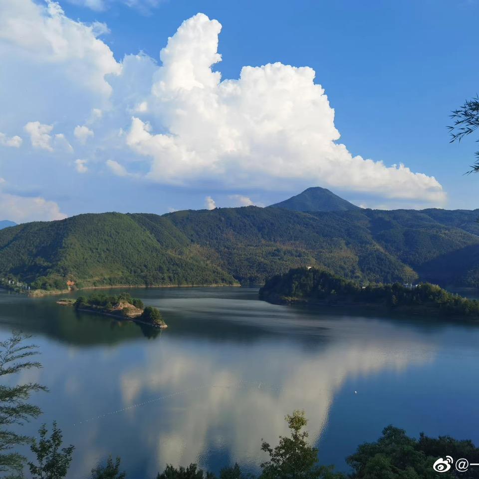 我是一只鱼～