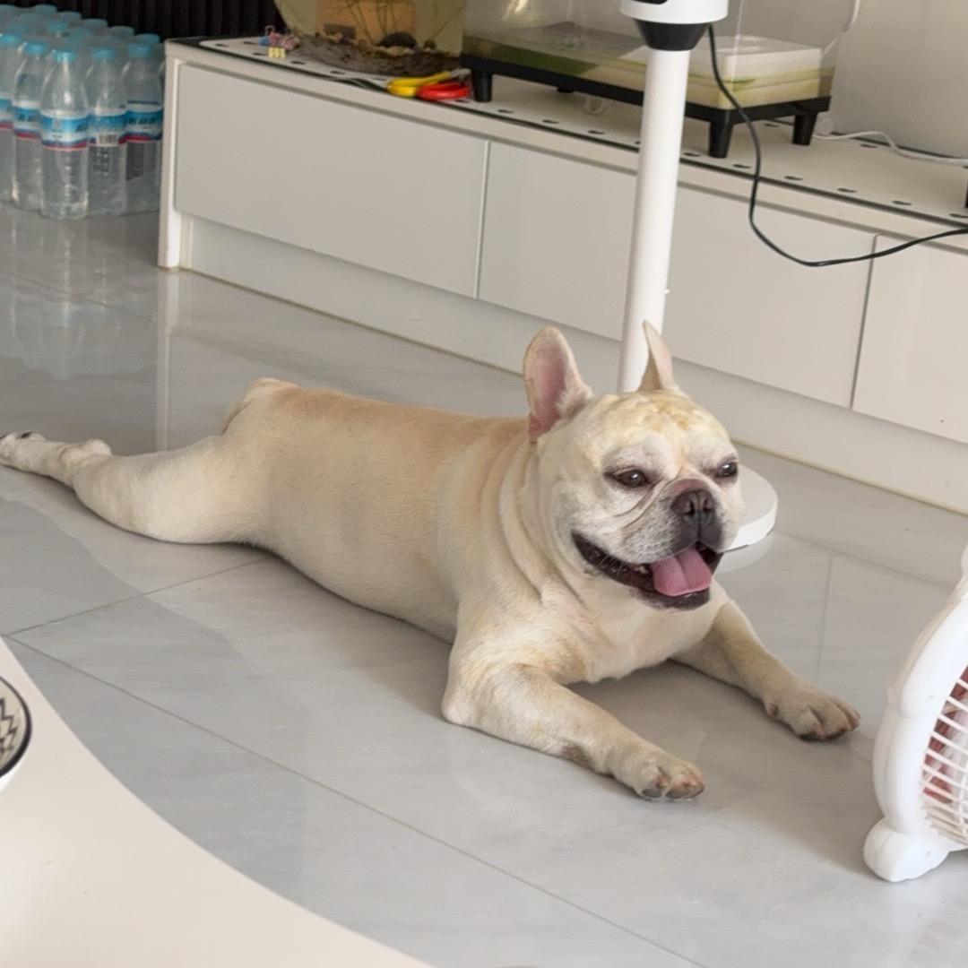 八佰每天都吃漏🥳