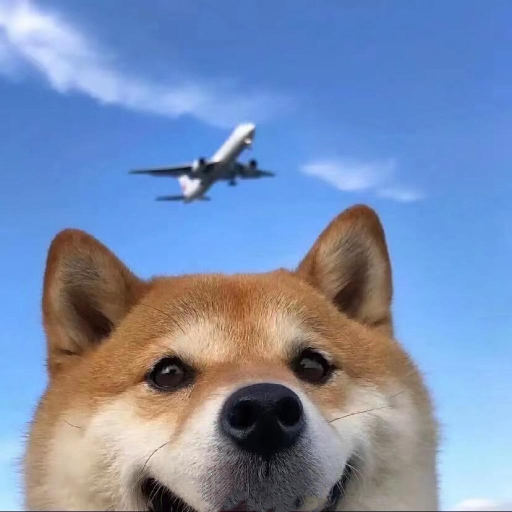 叁月
