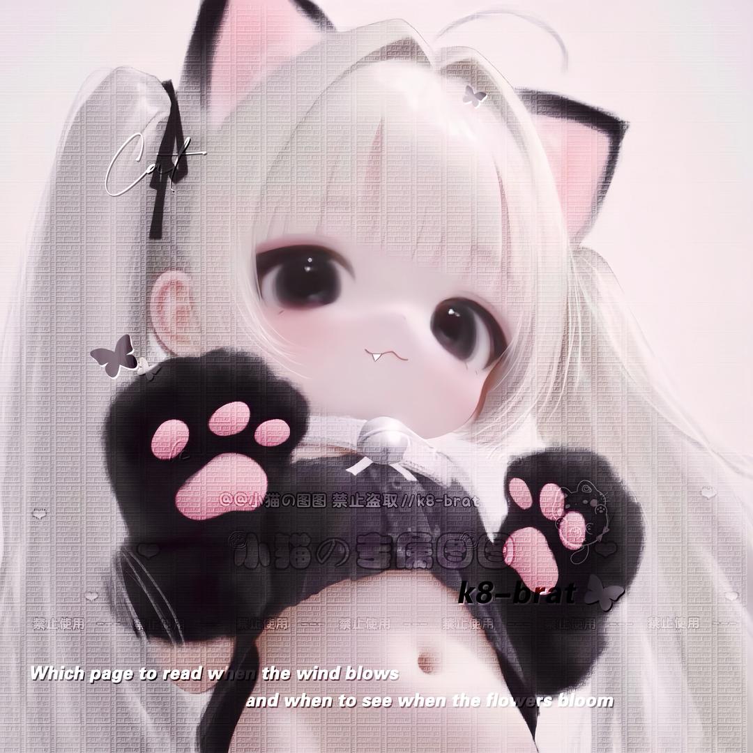 小猫宝宝