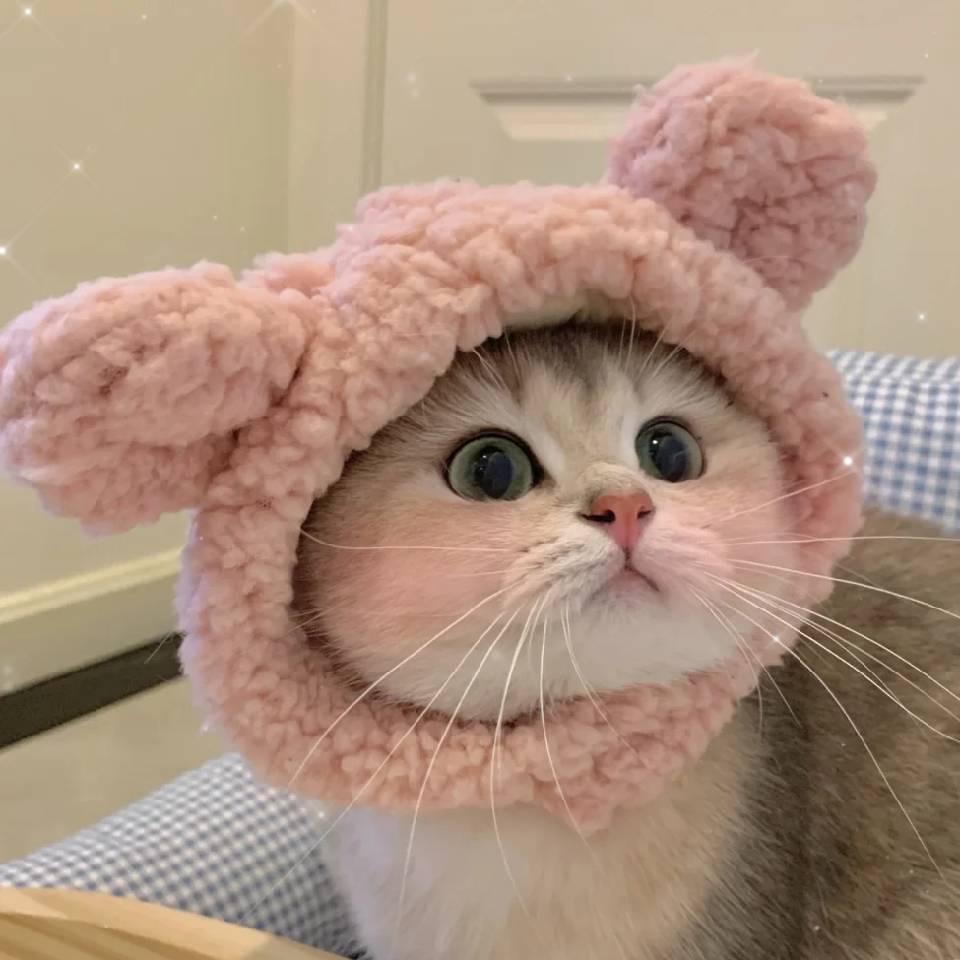 🌸薇薇🌸