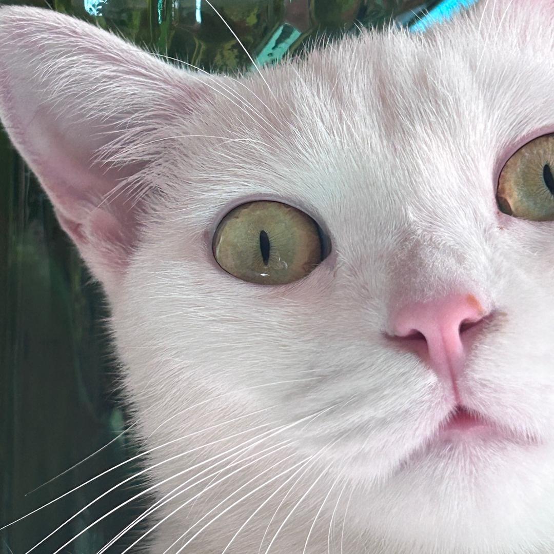 然然不喝冰阔落