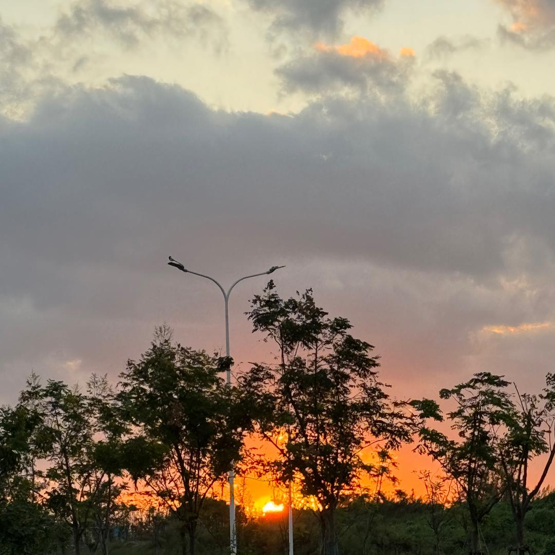 看撒网的女博士