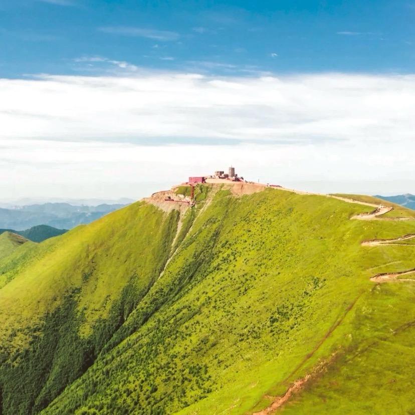 五台山静玉