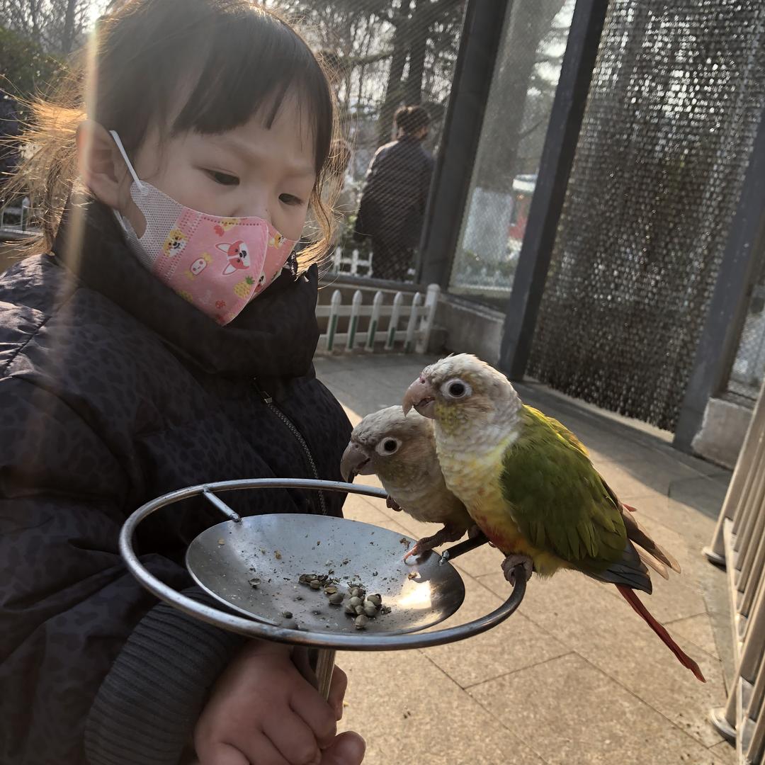 叫我芭比