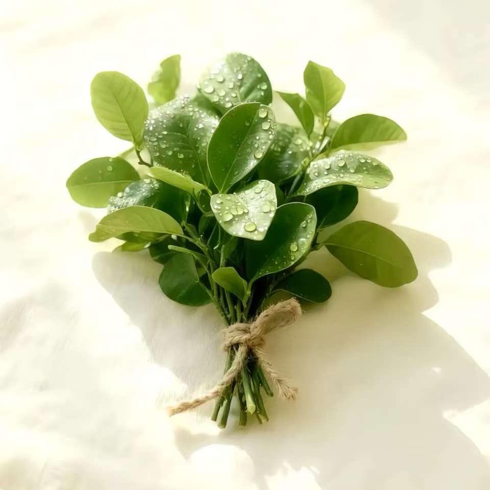 小边边