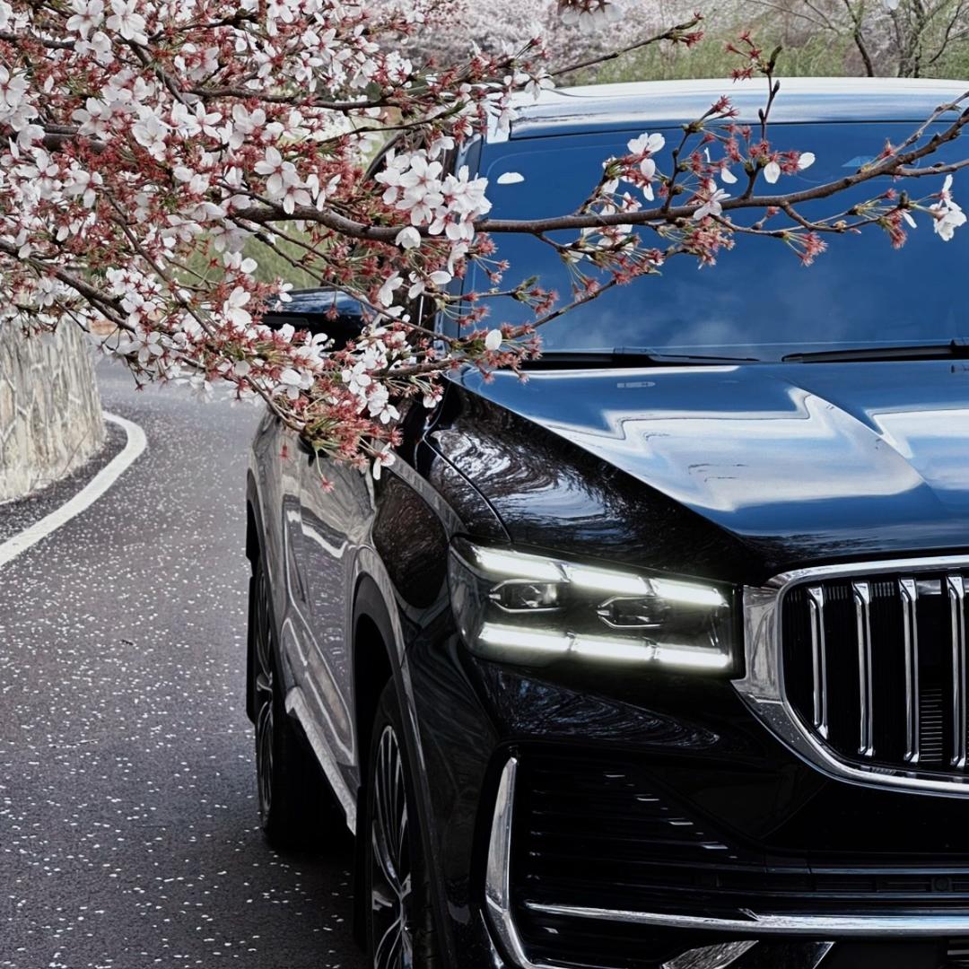 小安的揽星🚗（橱窗有惊喜）