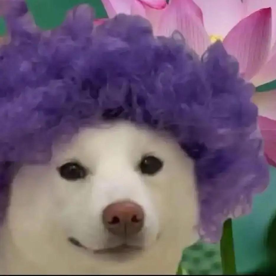 你好耀眼