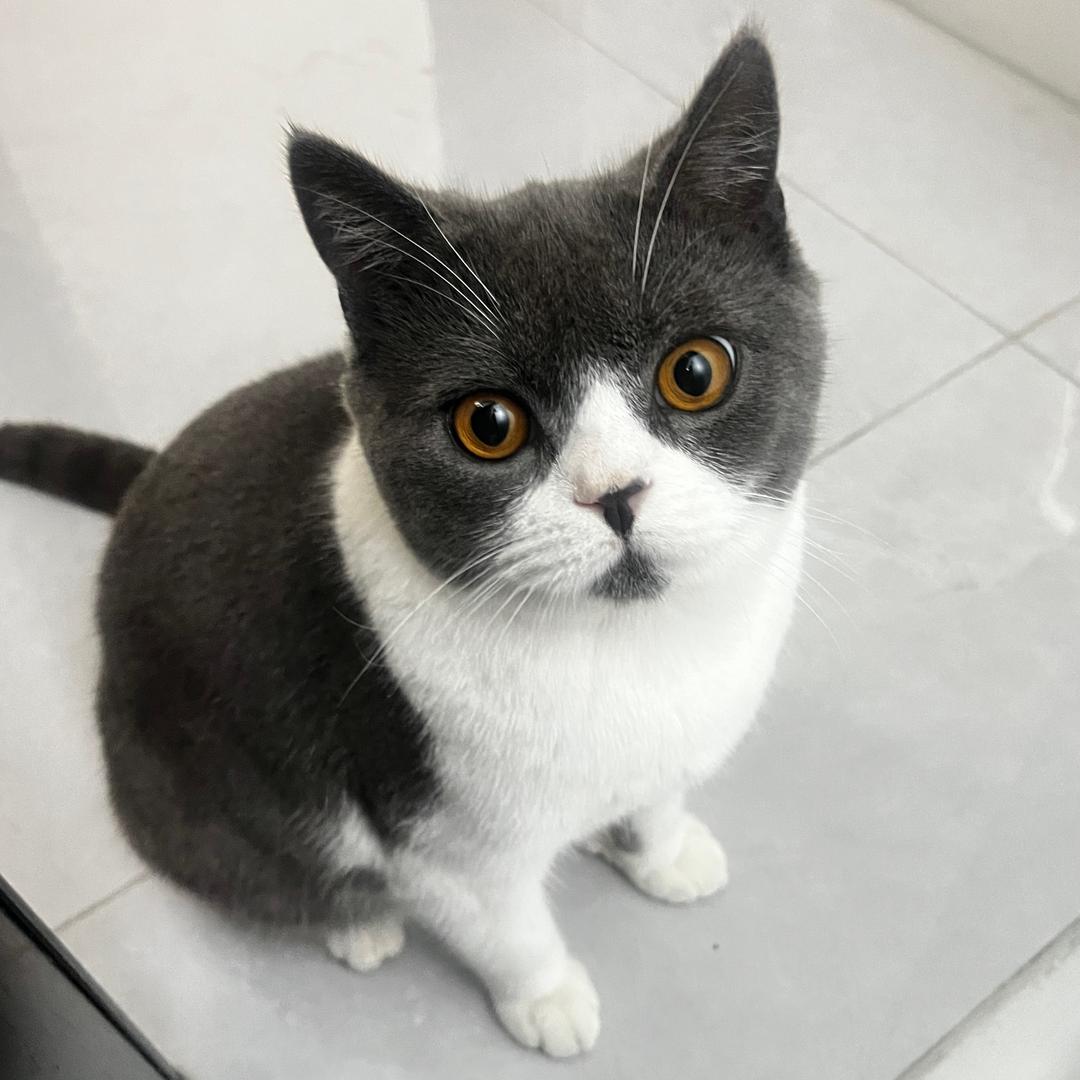 寶貝