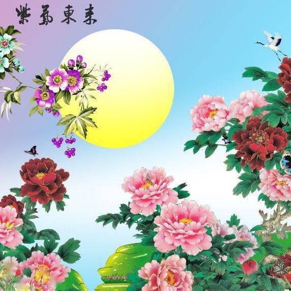 红红护肤精品