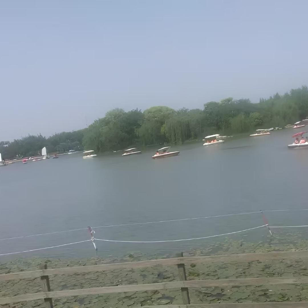 飞翔