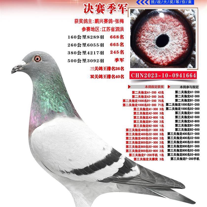 鹏兴鸽舍