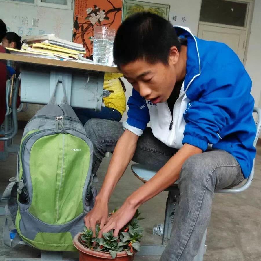 牙哥王明程