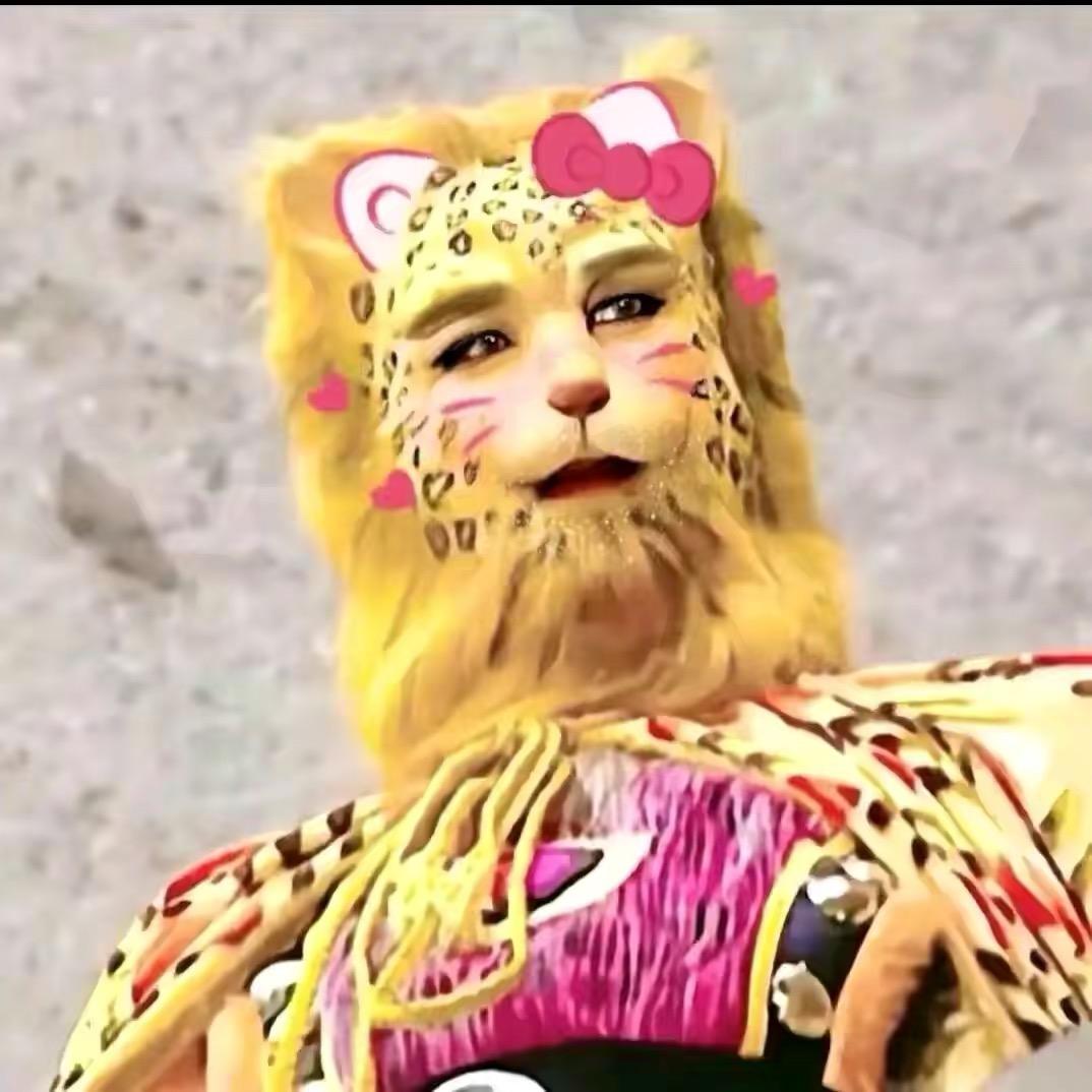巷子里的猫