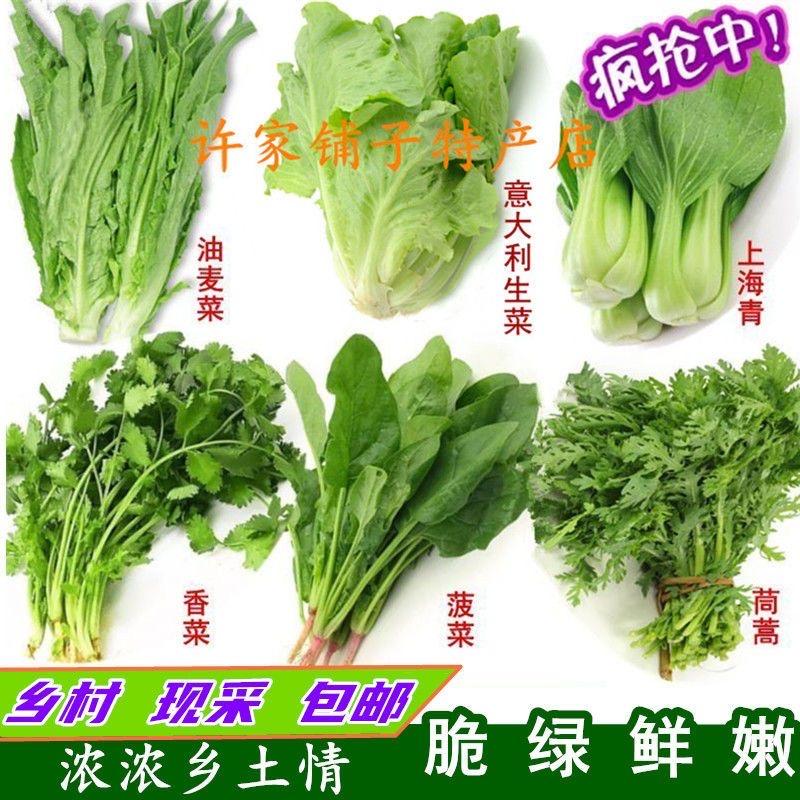 湖北乡村大姑（甜甜小菜园）