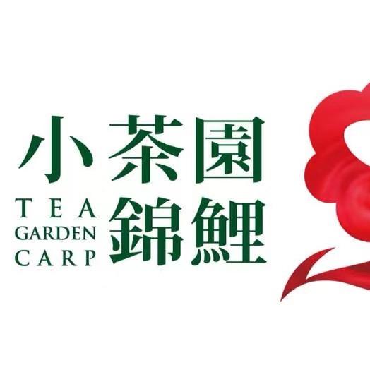 佛山小茶园锦鲤（小号）