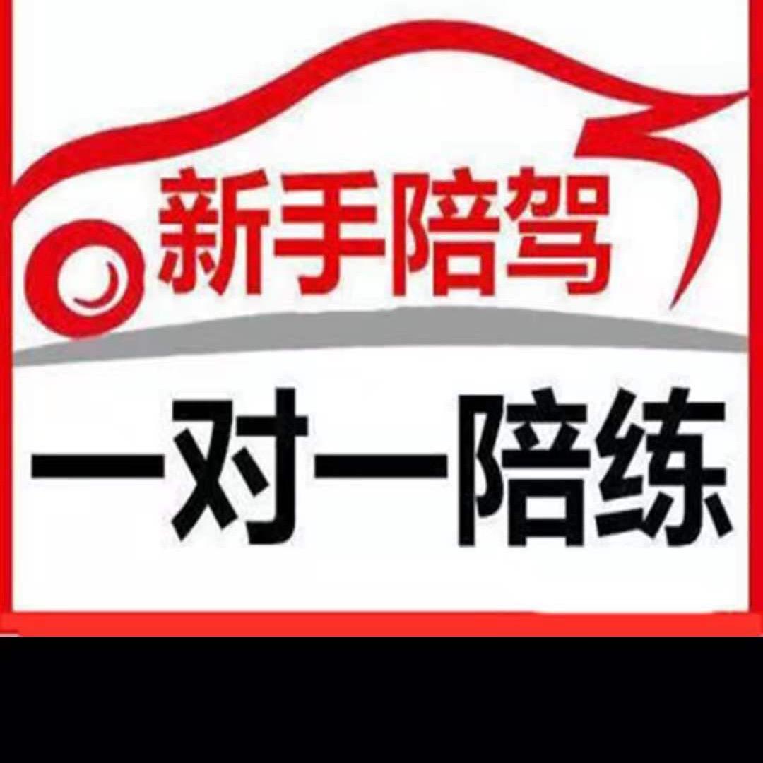海口专业汽车陪练