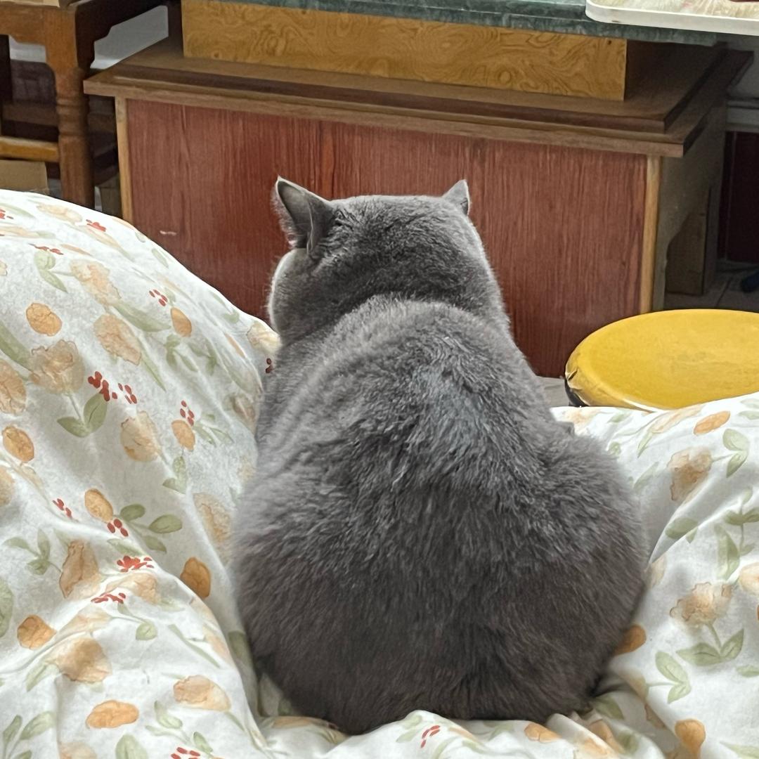 笑笑