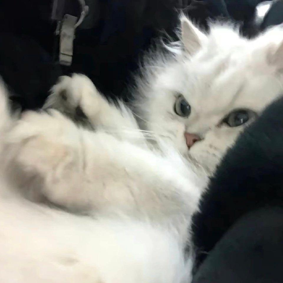 有点小烦.