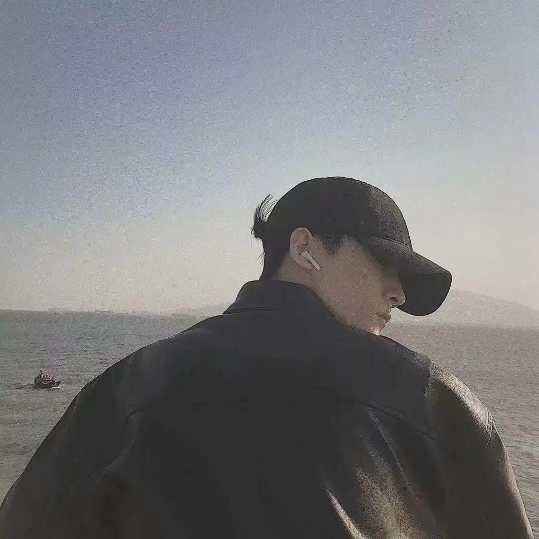 大海豚⚡️