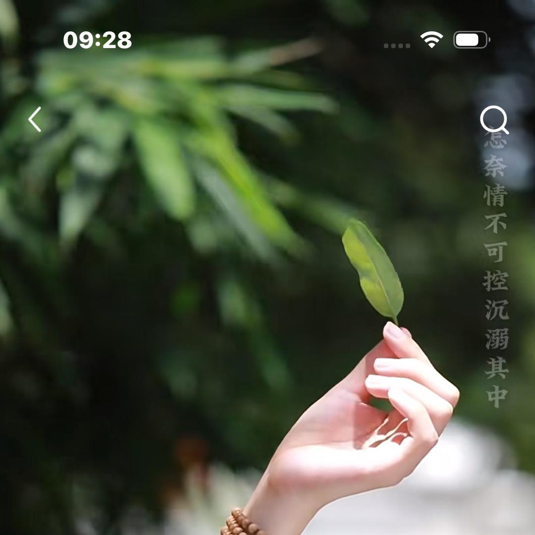 微尘大千