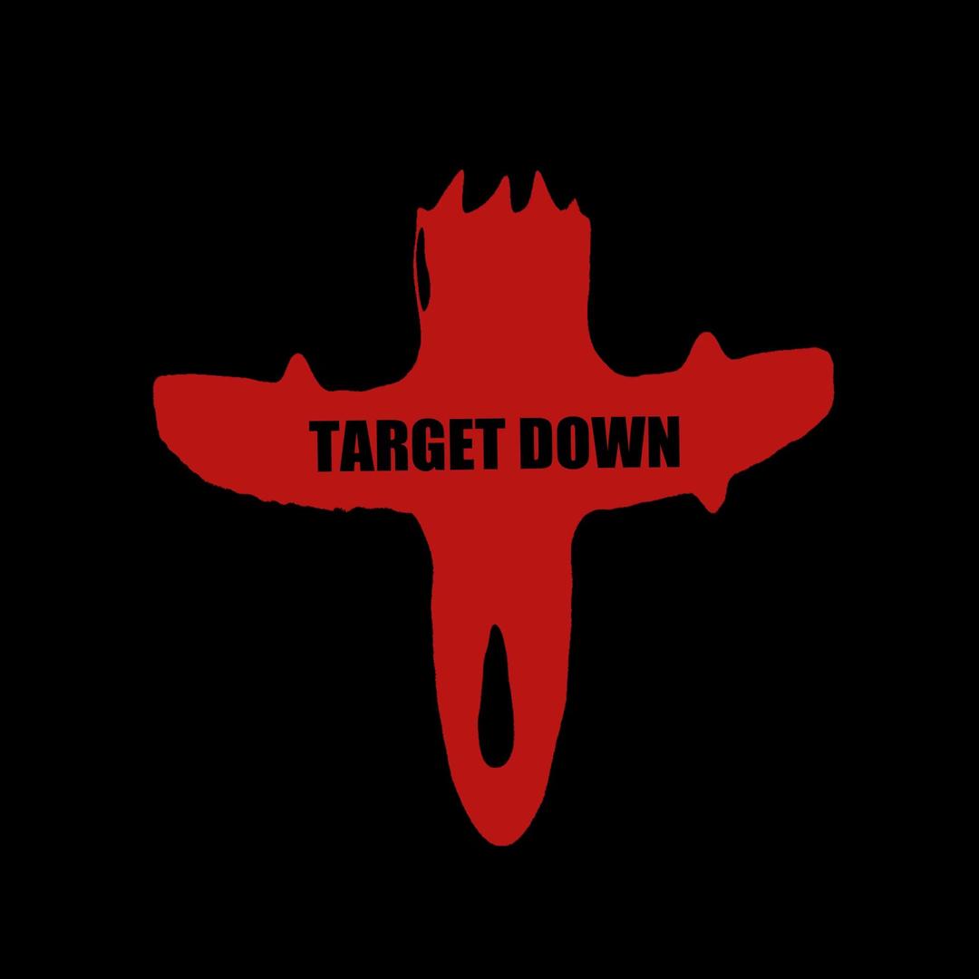 TARGET DOWN 目标击落